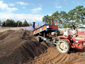 Đại gia cà phê Nestlé tiếp tục thách thức phần còn lại