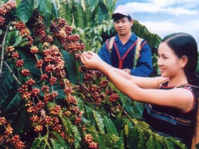 Hỗ trợ DN xúc tiến thương mại tại Ấn Độ và Bangladesh