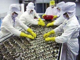 Vasep phản đối phán quyết về thuế chống trợ cấp tôm