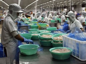 Tăng cường kiểm tra chất lượng thủy sản xuất khẩu sang Nga