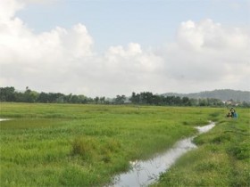 Thanh Hóa: Giải bài toán nông dân bỏ ruộng