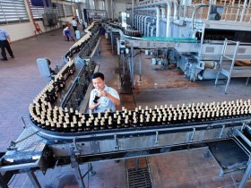 Chuyện nộp thuế của các Sao Vàng đất Việt
