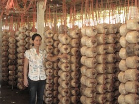 Hà Nam xây dựng mô hình sản xuất mới