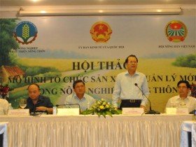 Phân vai trong liên kết 4 nhà