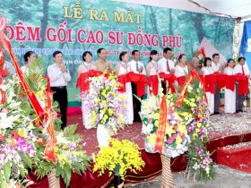 Khai trương Nhà phân phối Gối Đệm Đồng Phú vùng ĐBSH