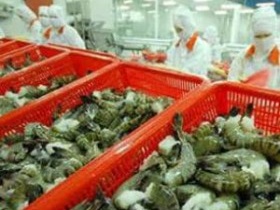 Mỹ thừa nhận tôm Việt Nam không bán phá giá