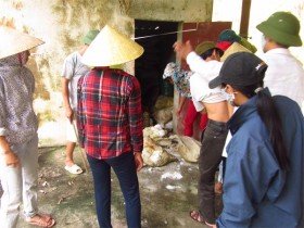 Vụ Nicotex: Lo hóa chất chôn ngầm, lo bất thường mặt đất