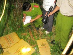 Người của Nicotex cùng "bảo vệ hiện trường" có khách quan?