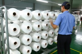 Cung sợi tăng nhanh nhờ đại dự án