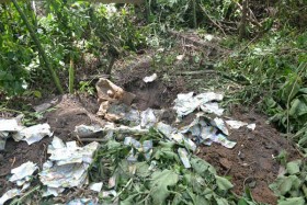 Thanh Hóa phạt Nicotex Thanh Thái hơn 400 triệu đồng