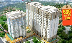 C.T Group tự phân phối căn hộ 630 triệu đồng