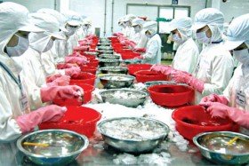 Tôm Việt thoát thuế chống trợ giá tại Mỹ