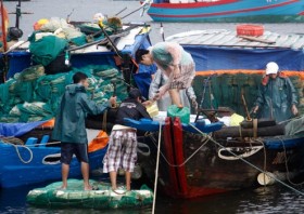 Bão số 10 tiến vào vùng biển Quảng Trị - Quảng Nam