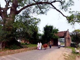 Hà Nội muốn Pháp giúp quy hoạch làng cổ Đường Lâm