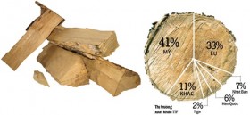 Gỗ Trường Thành: Gỗ tốt nhưng đã tróc sơn