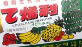 Kinh hoàng nghìn ống thuốc ép chín hoa quả nhãn Trung Quốc