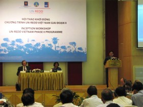 30 triệu USD để hạn chế mất và suy thoái rừng