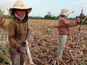 Bảo hiểm hưu trí: Liệu có xung đột “lãnh thổ”