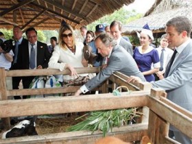 Nông dân được thông báo tiền sữa bằng tin nhắn