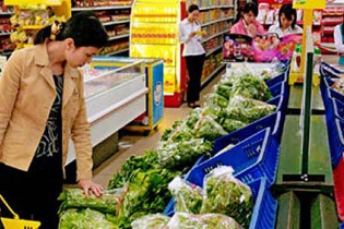 Chỉ số giá tiêu dùng tháng 10/2013 chỉ tăng 0,49%