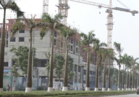 Giảm 50% thuế VAT với nhà ở thương mại từ 30/11/2013