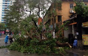 Quảng Ninh thiệt hại hơn 100 tỷ do bão Haiyan