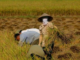 CPI cả năm 2013 dự báo chỉ tăng 6,1-6,2%