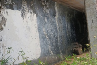 Công ty Giầy Aurora VN xả thải vào kênh nước ăn