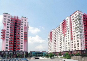 Gương mặt sống sót