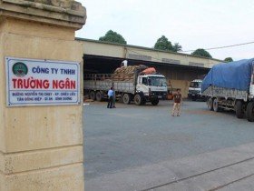 Vì sao Trường Ngân qua mặt 7 nhà băng rồi vỡ nợ?