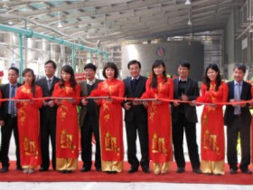 Viglacera Tiên Sơn đầu tư chiều sâu sản phẩm Granite