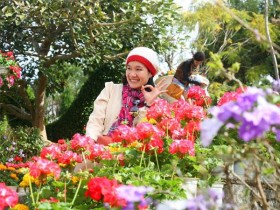 Thành phố ngàn hoa Đà Lạt khoe sắc đón Festival