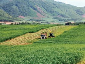 Trụ đỡ nông nghiệp suy yếu: Không thể xem thường