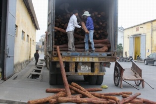 Hải Phòng: Liên tiếp bắt giữ nhiều container gỗ Giáng hương đỏ Ấn Độ quý hiếm