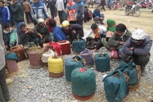 Săn họa mi rừng tiền triệu, coi chừng chim Tàu…“đội lốt” chim ta