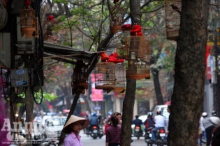 Những vụ cướp táo tợn và kỳ cục giữa Thủ đô