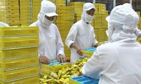 FAST500 tăng trưởng thấp nhất trong 4 năm qua