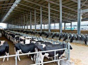 ILDEX Việt Nam 2014: Điểm hẹn đầu tư vào chăn nuôi