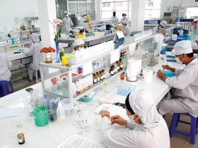 Y dược tư nhân cần một cuộc đại phẫu