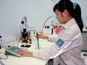 Các "con" nhà PVN nếm trái đắng dự án ethanol