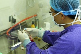 Vinmec khai trương Trung tâm tế bào gốc và gene