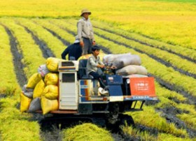 Bắt tay triển khai gói tín dụng khủng cho nông nghiệp