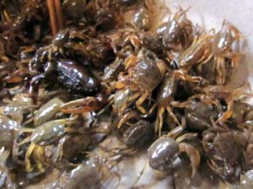 Hà Nội: 98% mẫu thuỷ sản nhiễm kim loại nặng