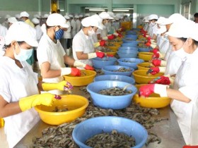 DOC lại áp thuế chống phá giá tôm Việt Nam