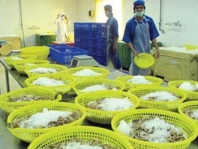 Thủy sản Thừa Thiên Huế: Lựa chọn bước đi vững chắc