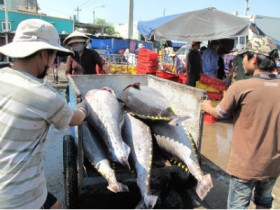 Nghiên cứu đề xuất gói hỗ trợ thủy sản