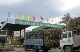 2 cổ phiếu cần quan tâm ngày 31/3