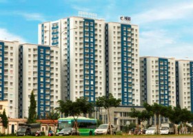 Năm Bảy Bảy: Doanh thu quý IV/2013 giảm 92%