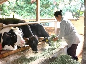 Đầu tư vào nông nghiệp được hỗ trợ tới 110 triệu đồng