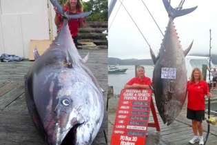 Một phụ nữ câu được con cá ngừ khổng lồ nặng 411,6kg